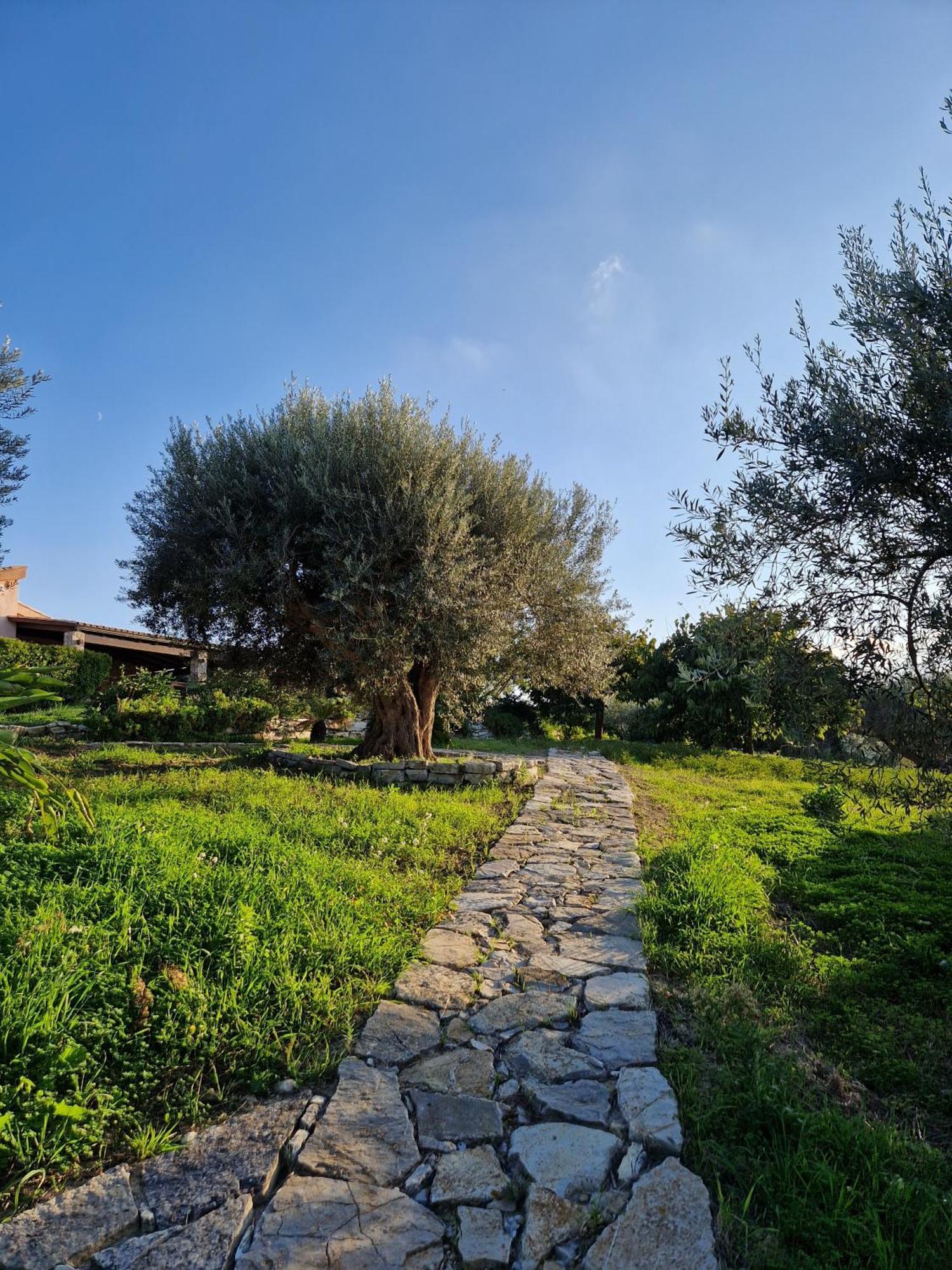 Villa Del Carrubo A Due Passi Dal Mare Di Cefalu Collesano Zewnętrze zdjęcie