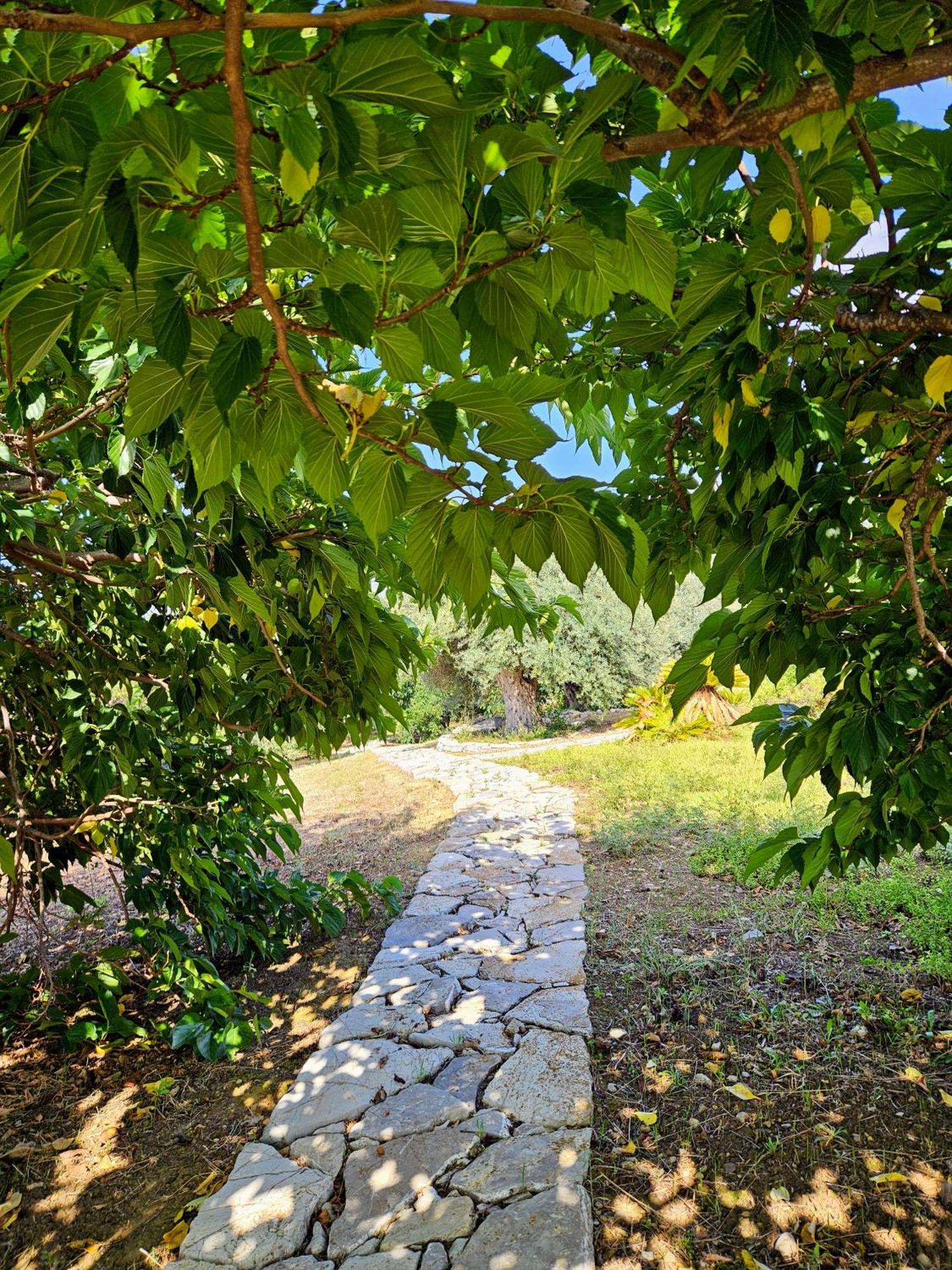 Villa Del Carrubo A Due Passi Dal Mare Di Cefalu Collesano Zewnętrze zdjęcie