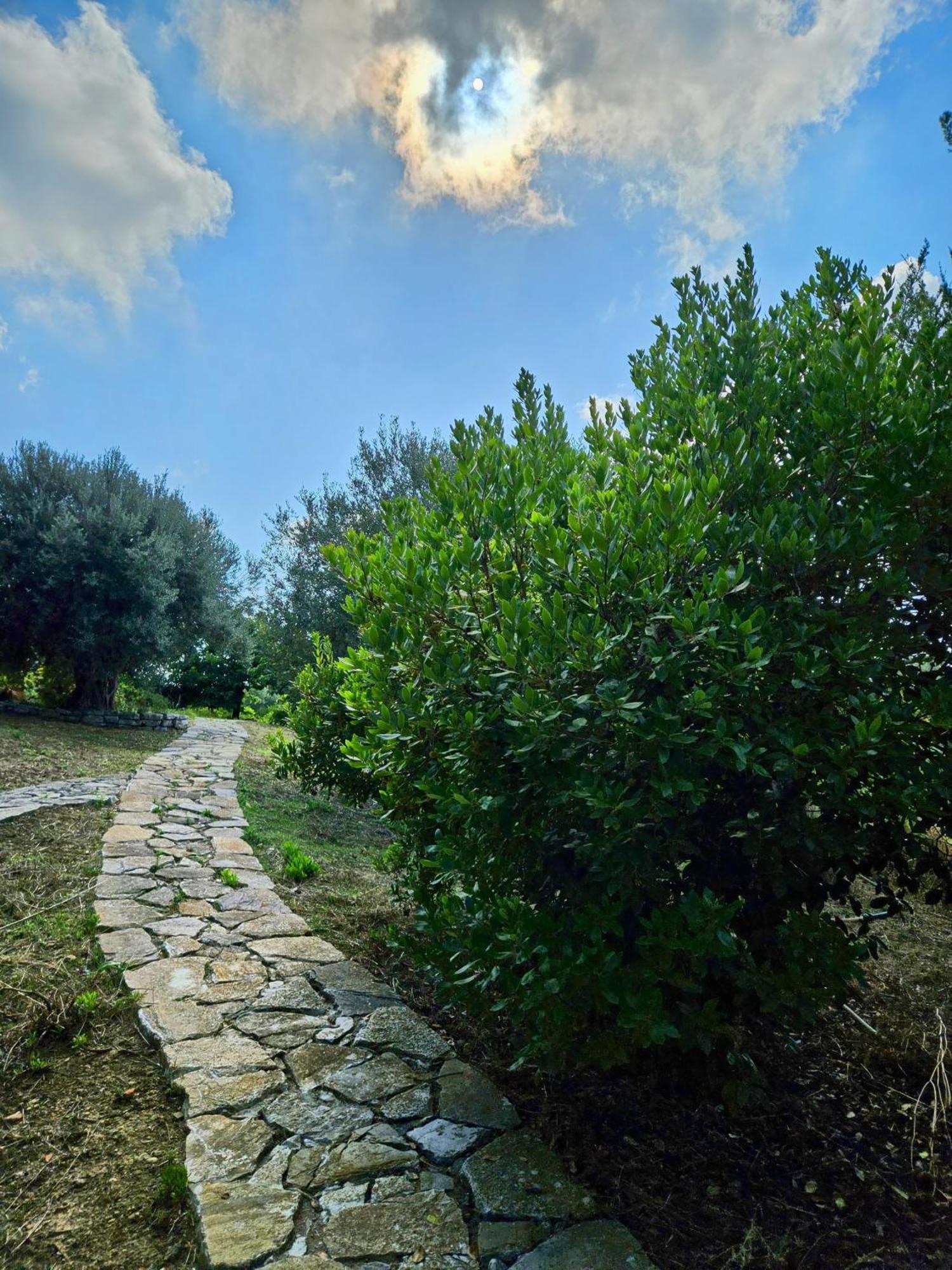 Villa Del Carrubo A Due Passi Dal Mare Di Cefalu Collesano Zewnętrze zdjęcie
